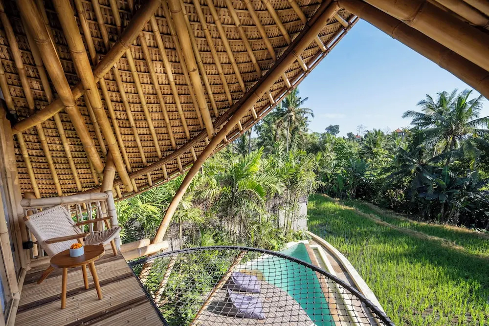 Photo - Emana Bambooscape