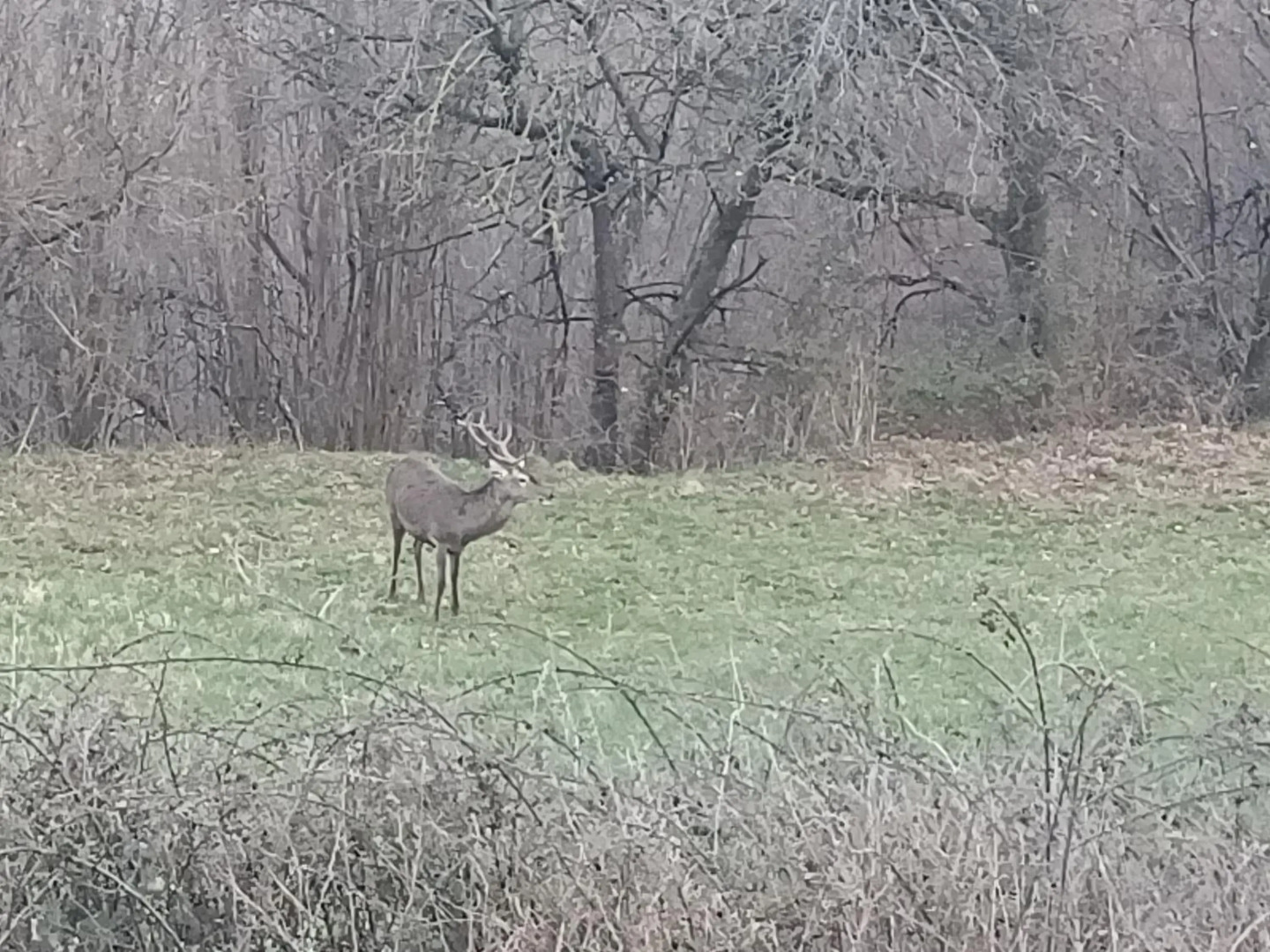 Foto - Hotel Terralta