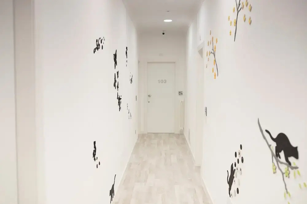 Photo - Prospettiva Medina