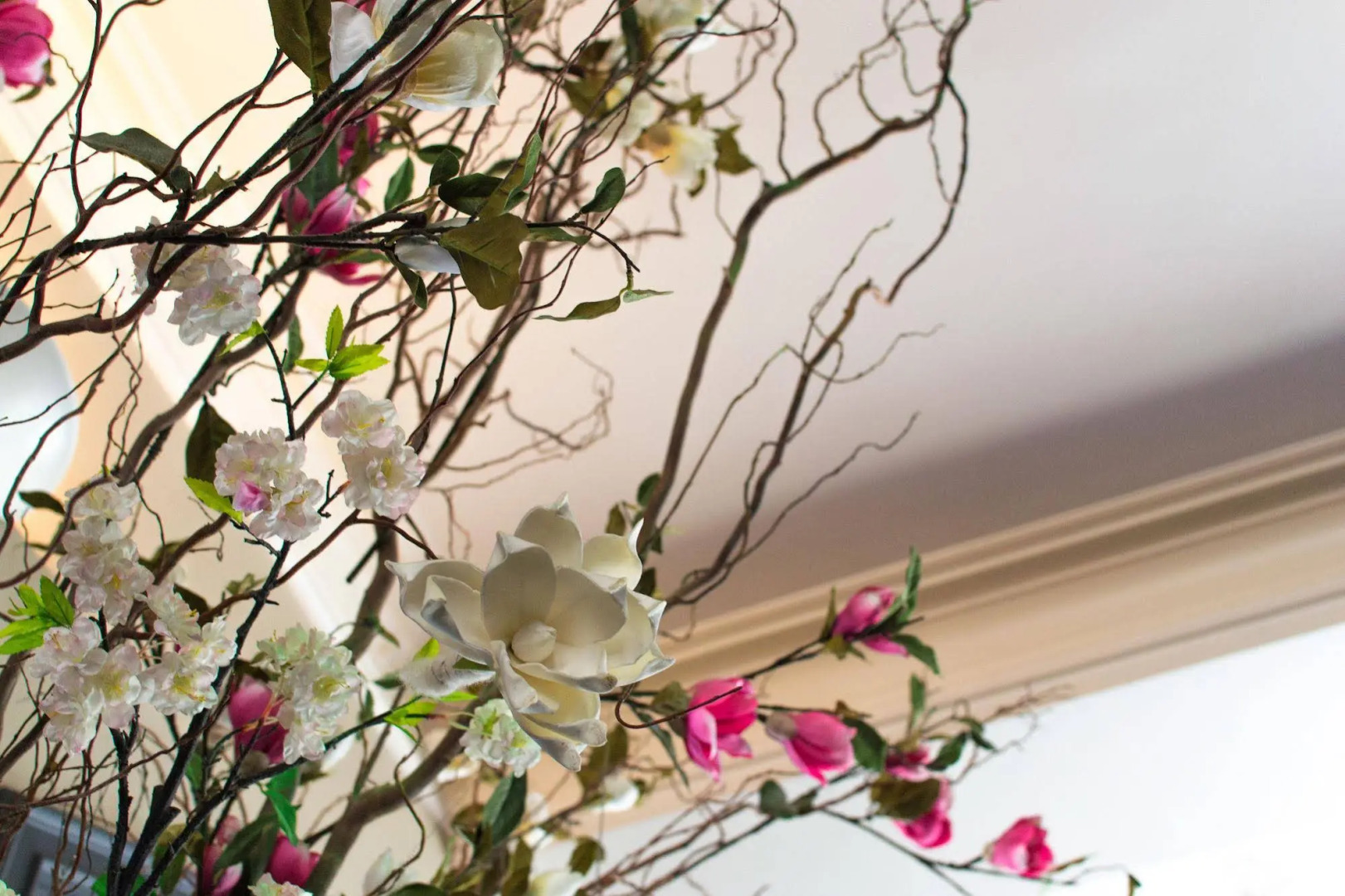 Photo - Hotel Sint Nicolaas