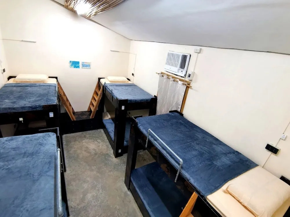 Foto - Big Paul Hostel