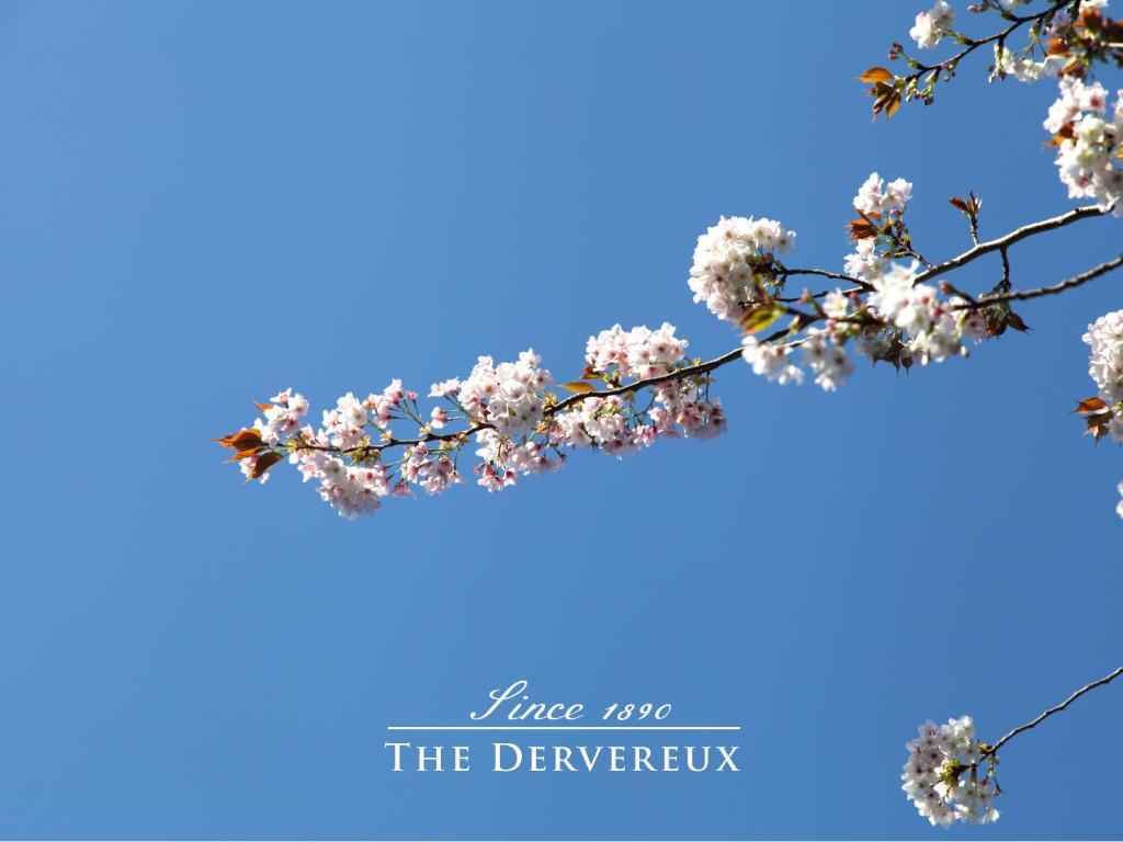 Photo - The Devereux Boutique Hotel