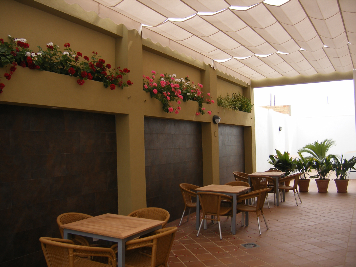 Photo - Hotel Lince