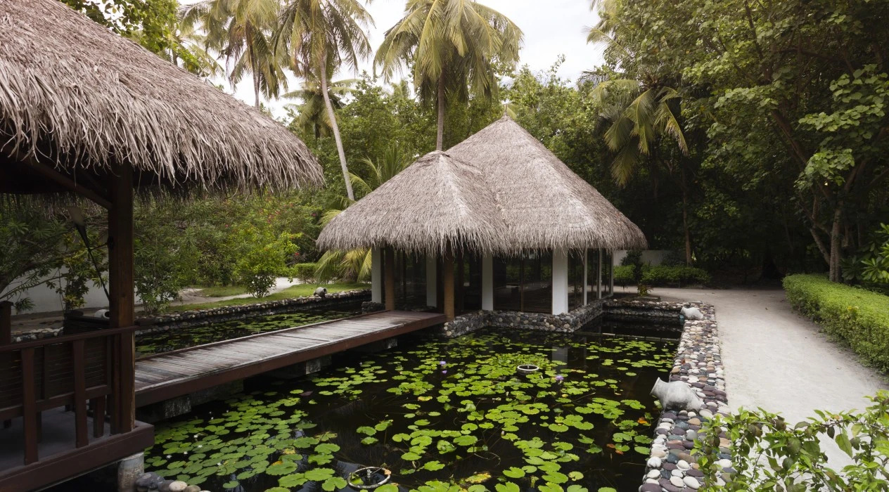 Photo - Filitheyo Island Resort