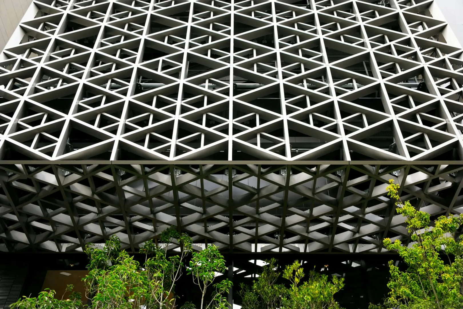 Foto - Hotel JAL City Fukuoka Tenjin