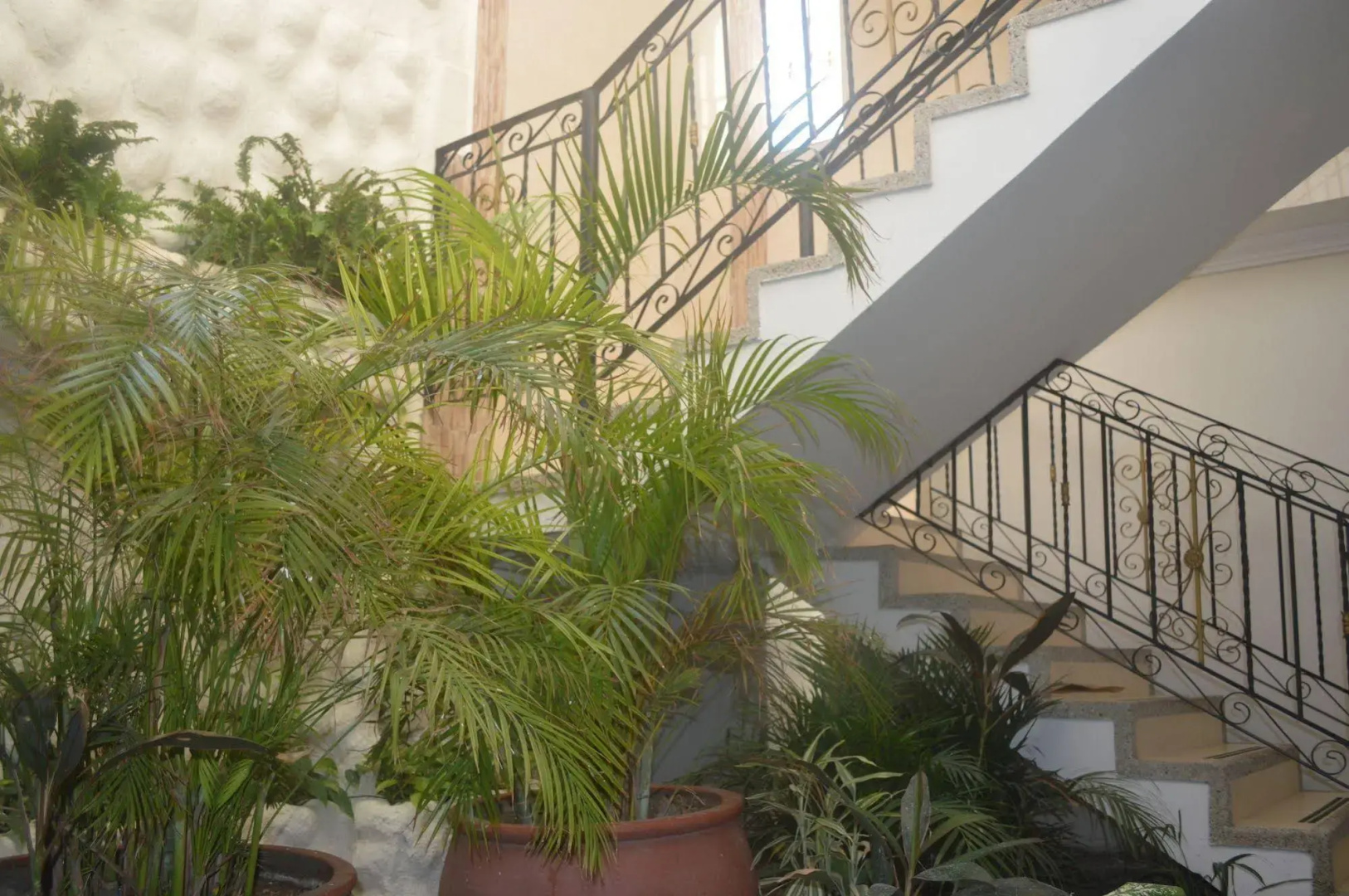 Foto - Hotel San Miguel Imperial