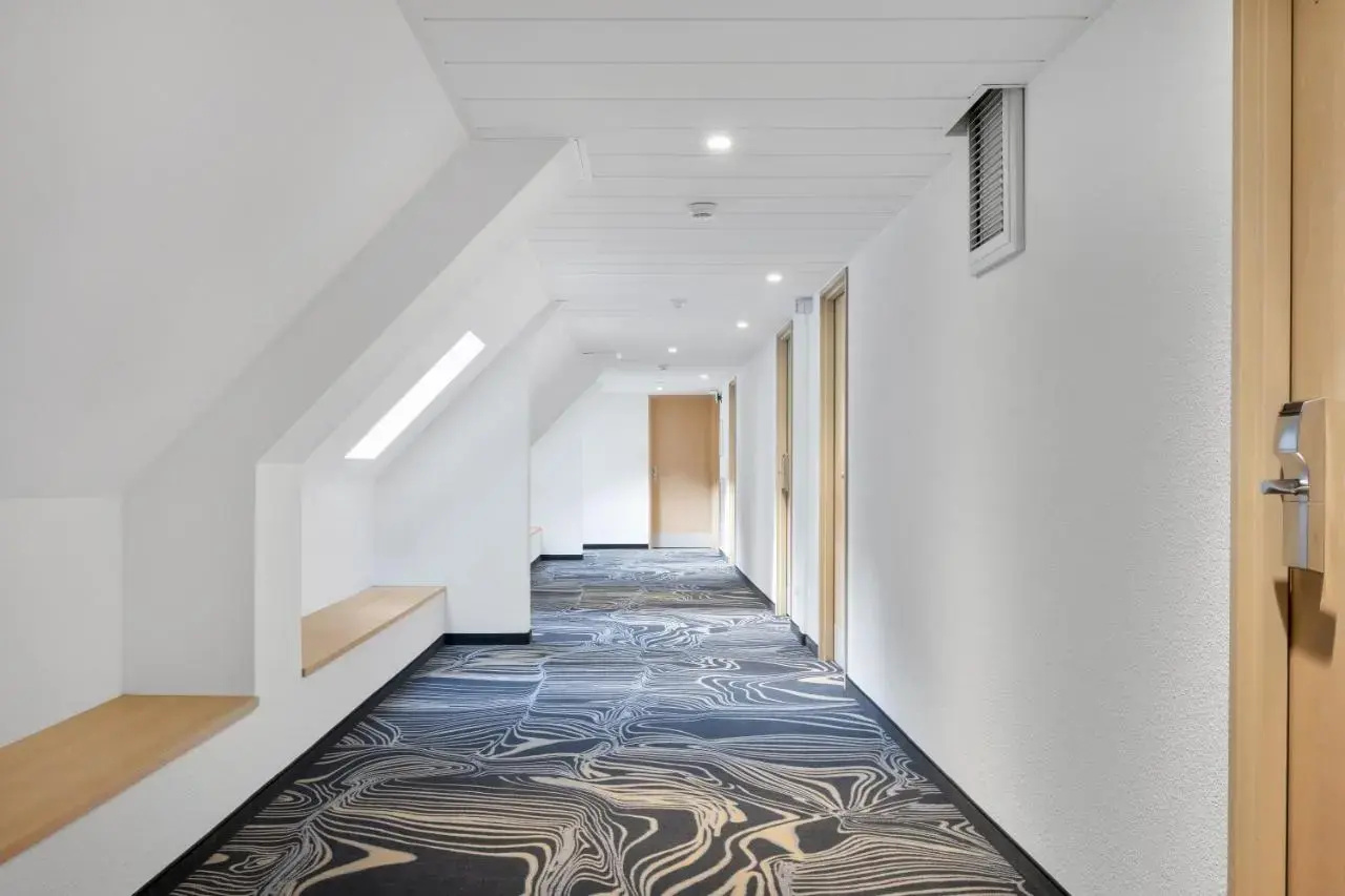 Photo - Hotel Eliseo