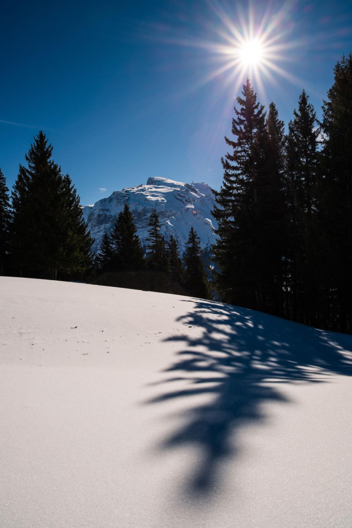 Foto - Hotel Regina Titlis, a Trademark Collection by Wyndham