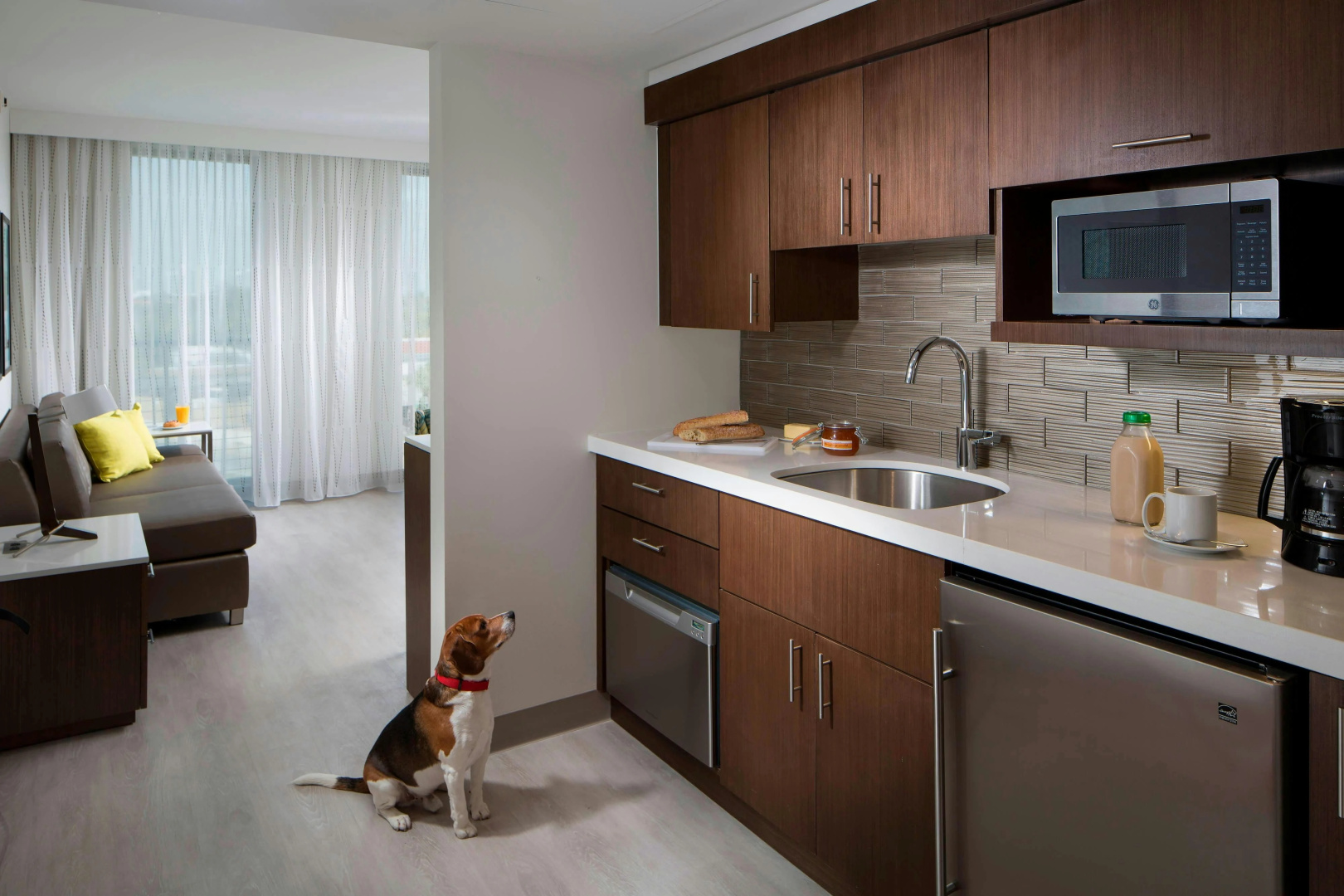 Foto - Residence Inn by Marriott Miami Beach South Beach