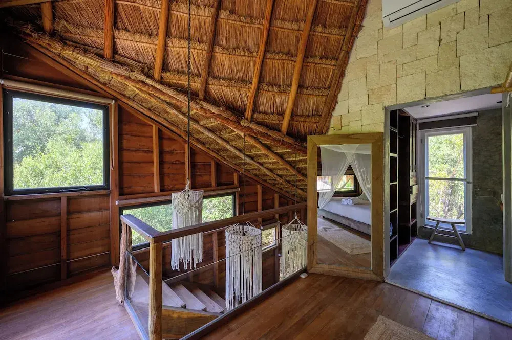 Foto - Vida Silvestre Tulum