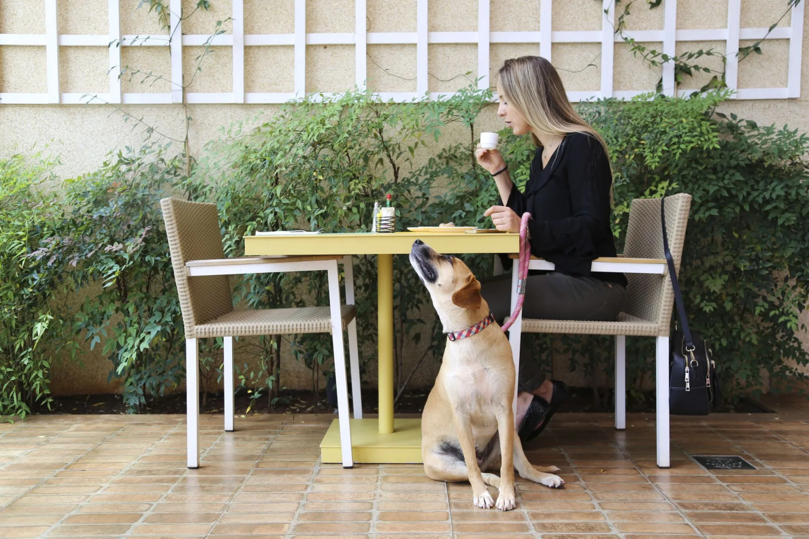 Foto - Vitória Hotel Residence NewPort