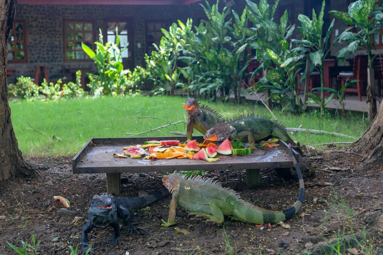 Foto - Hotel Mar de Luz