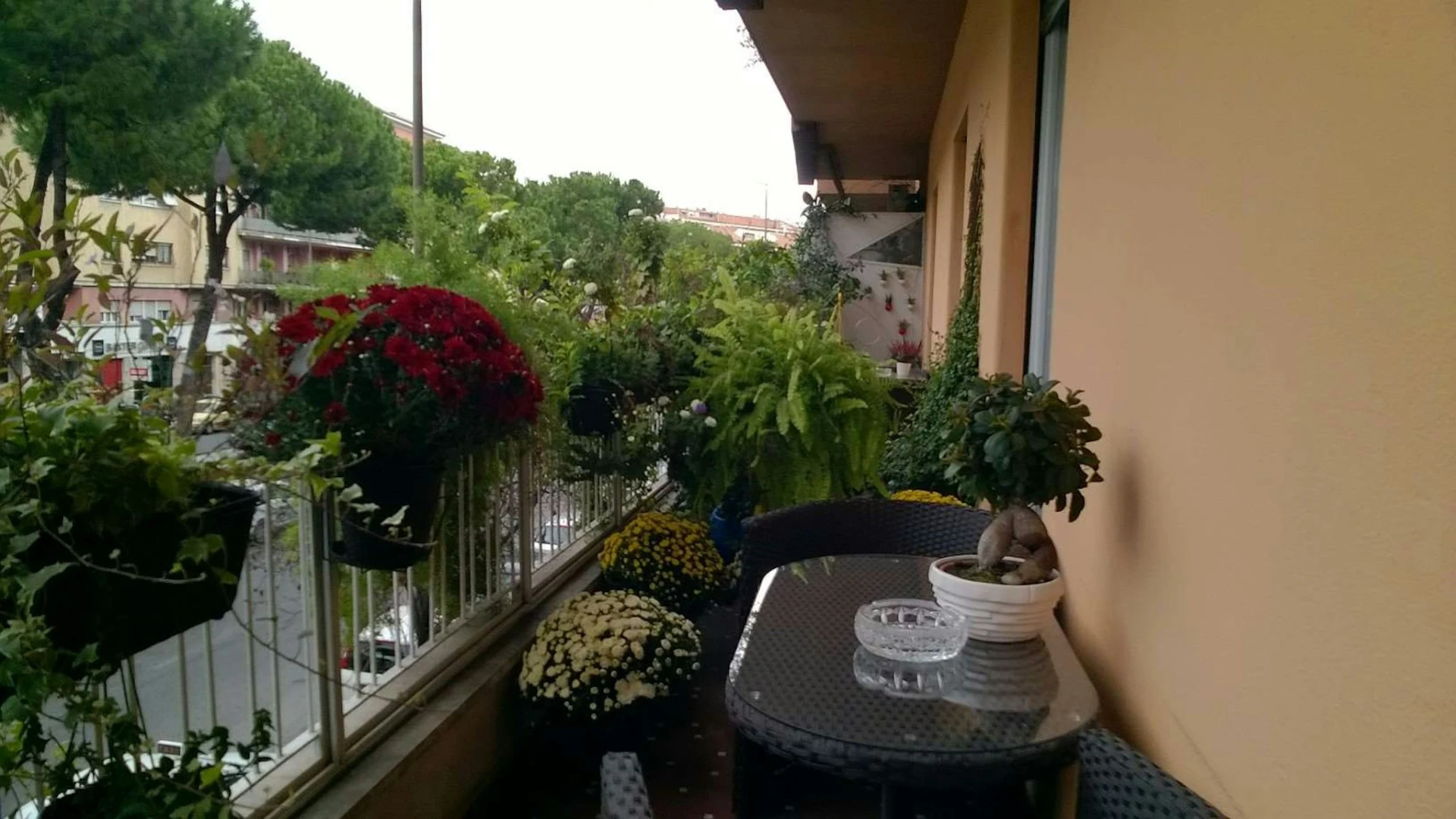 Foto - Gregorio VII Luxury Suites