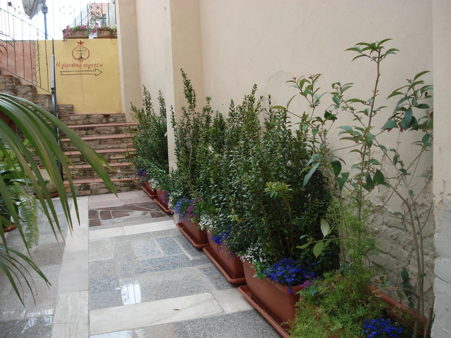 Foto - Guest House Il Giardino Segreto