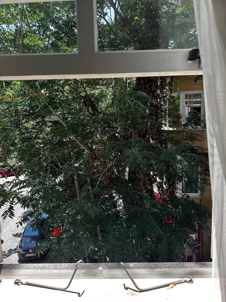 Foto - Şah Bey Konağı