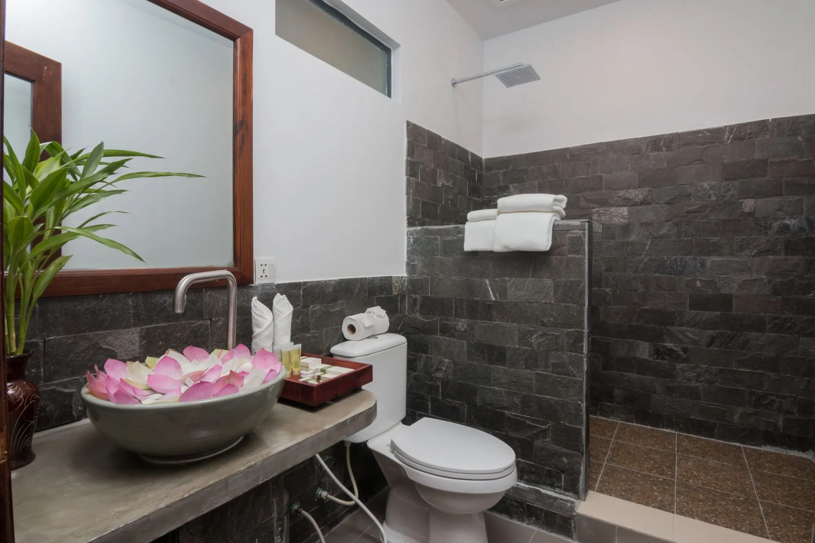Foto - Green Amazon Residence