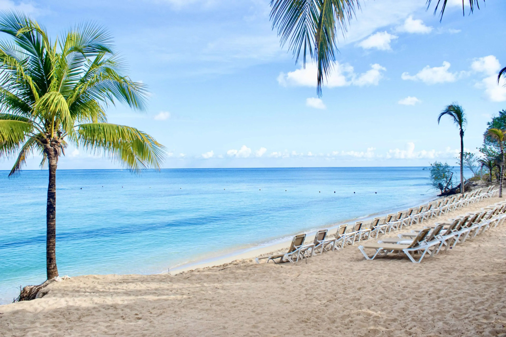 Photo - Occidental Cozumel - All Inclusive