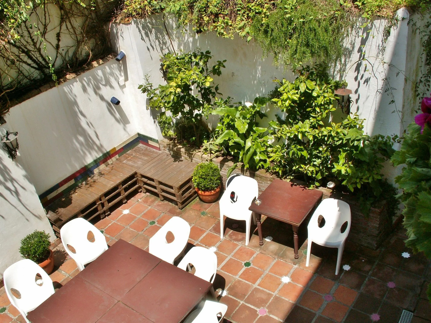 Foto - Oasis Backpackers' Hostel Granada