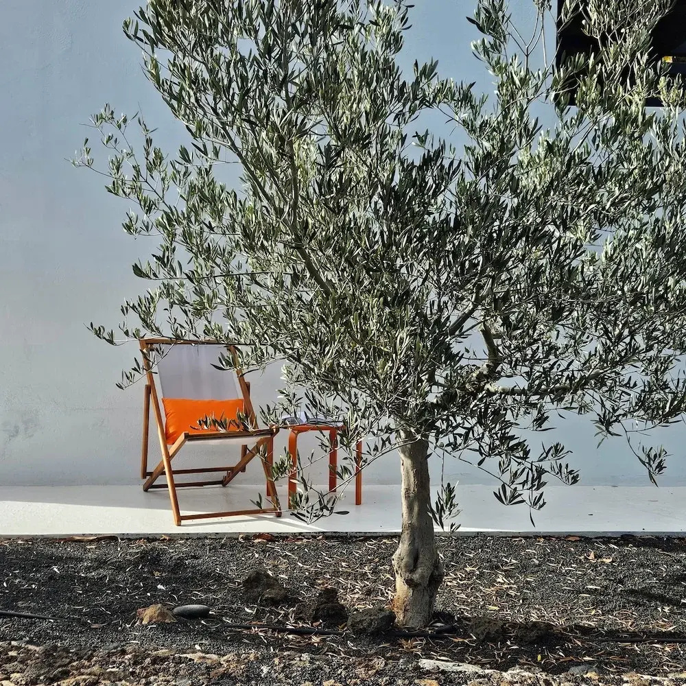 Foto - Villa by the Sea