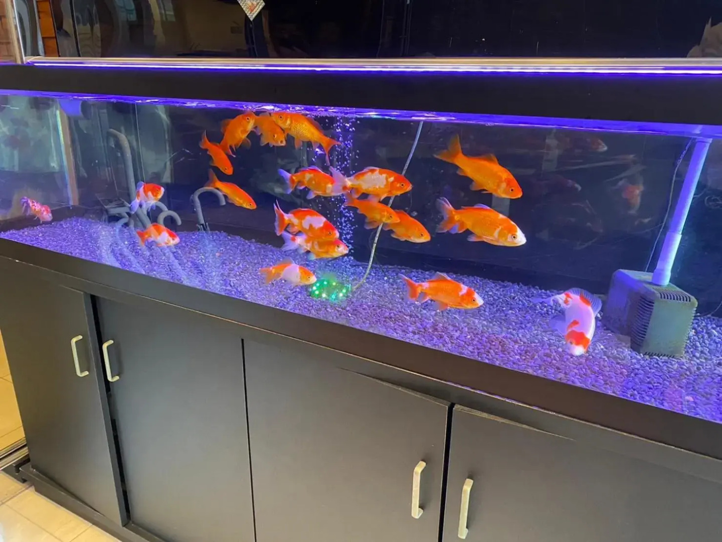 Foto - Hotel Richie Richie - Vacation STAY 25058v