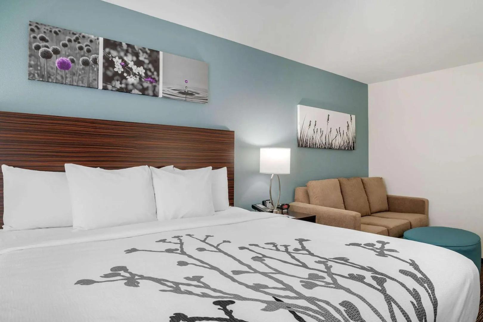 Foto - Sleep Inn & Suites near Westchase