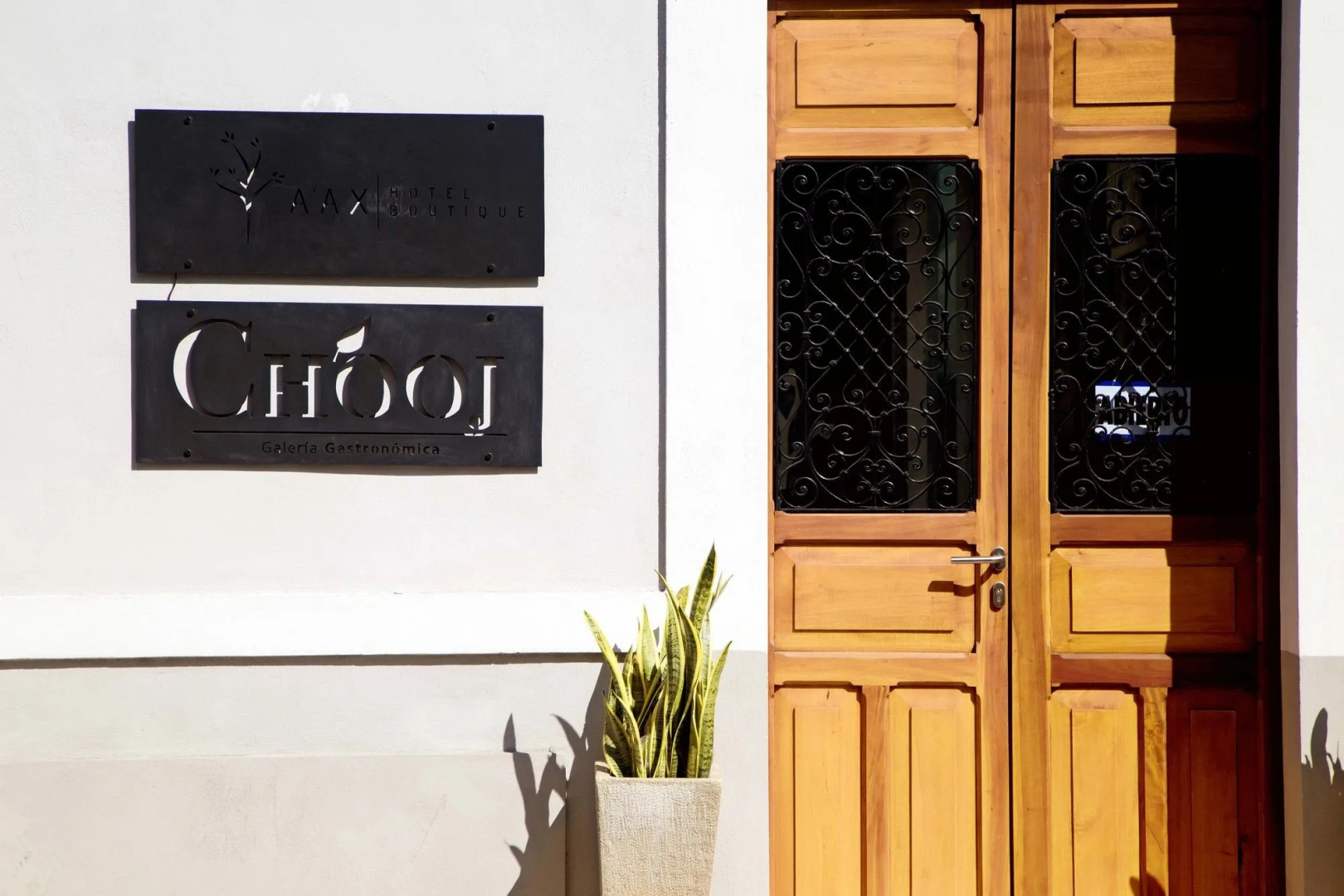Foto - Ya'ax Hotel Boutique
