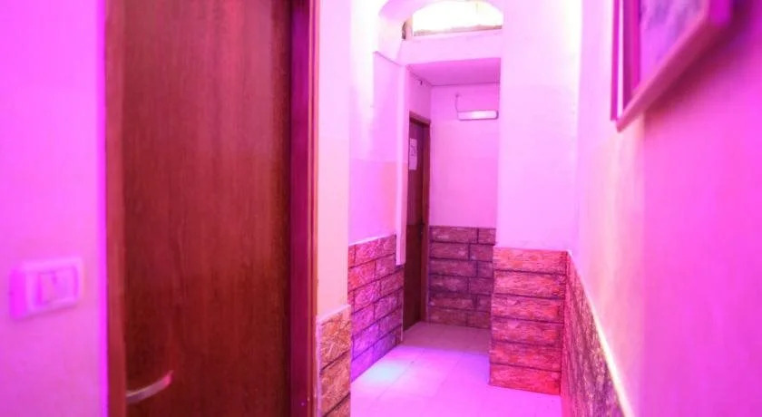 Photo - Palm Hostel