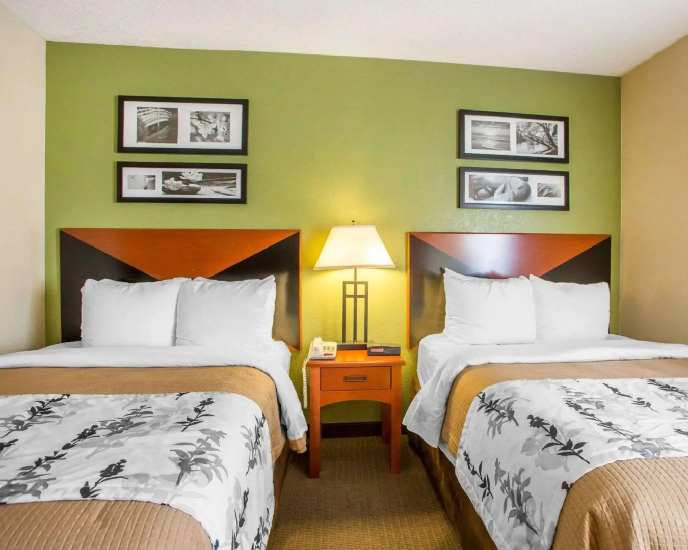 Foto - Sleep Inn Naperville - Chicago