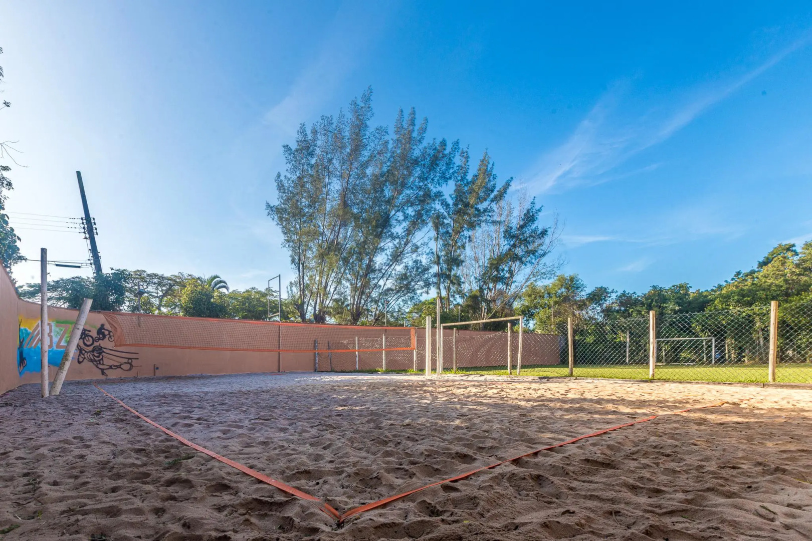 Photo - Corais e Conchas