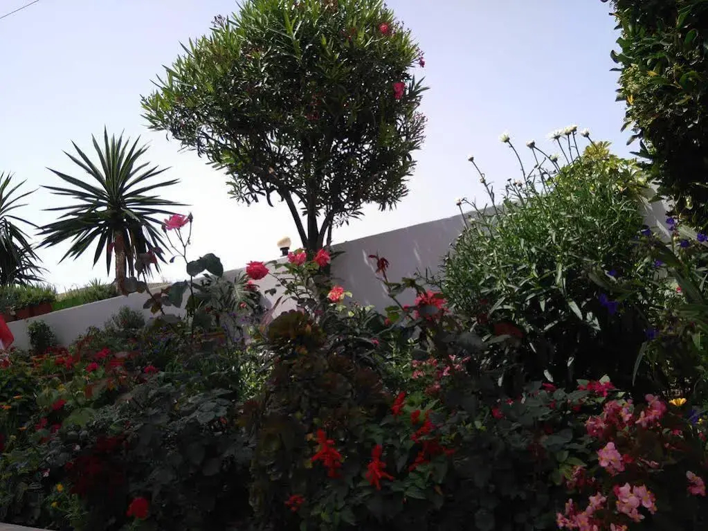 Photo - Erdeti Boutique Hotel