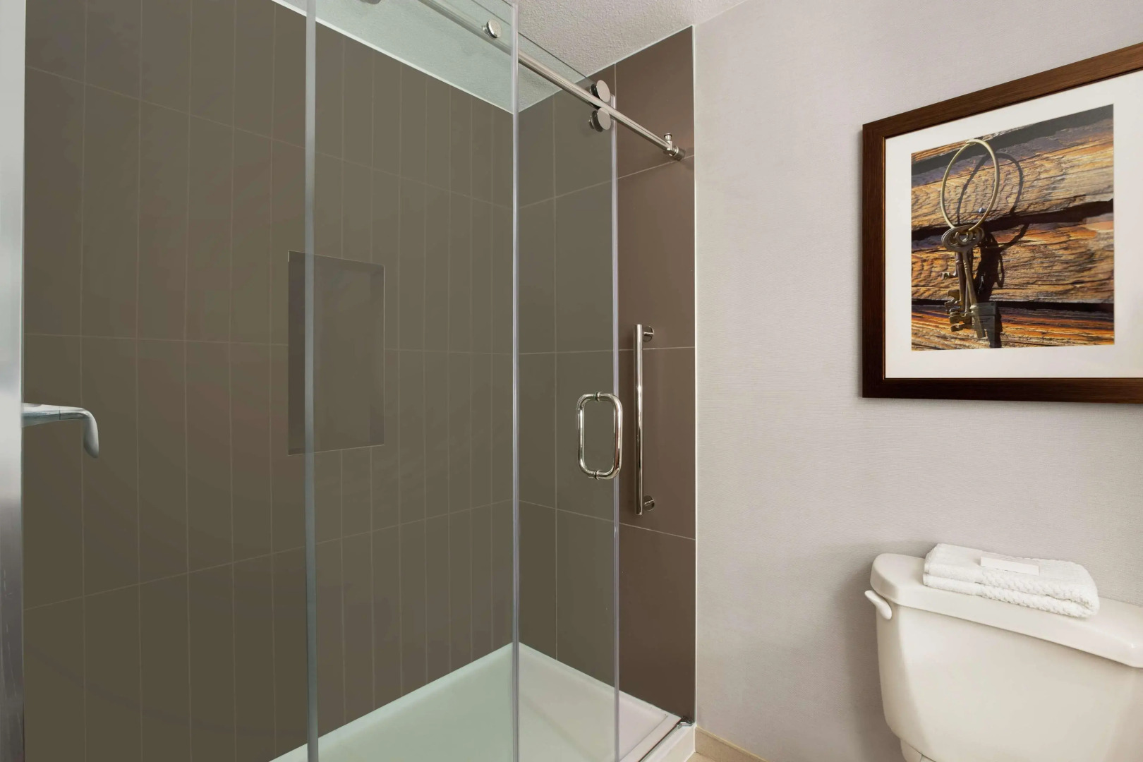 Photo - Embassy Suites Dallas - DFW Airport North