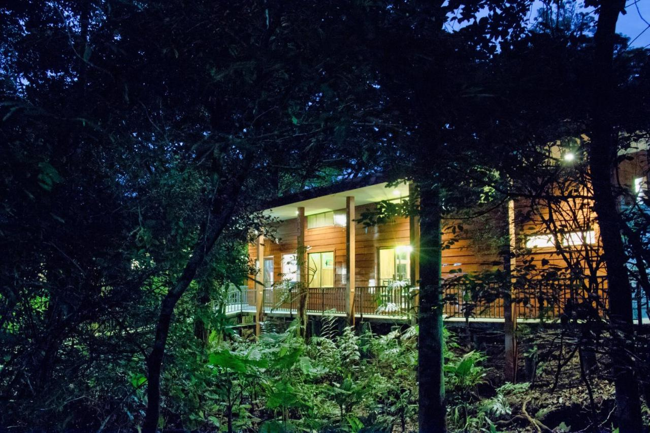 Foto - Jaguarundi Lodge