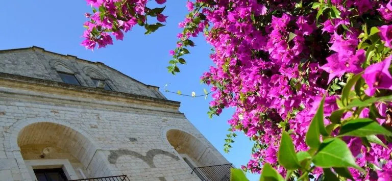 Photo - Masseria Agrituristica Lama San Giorgio