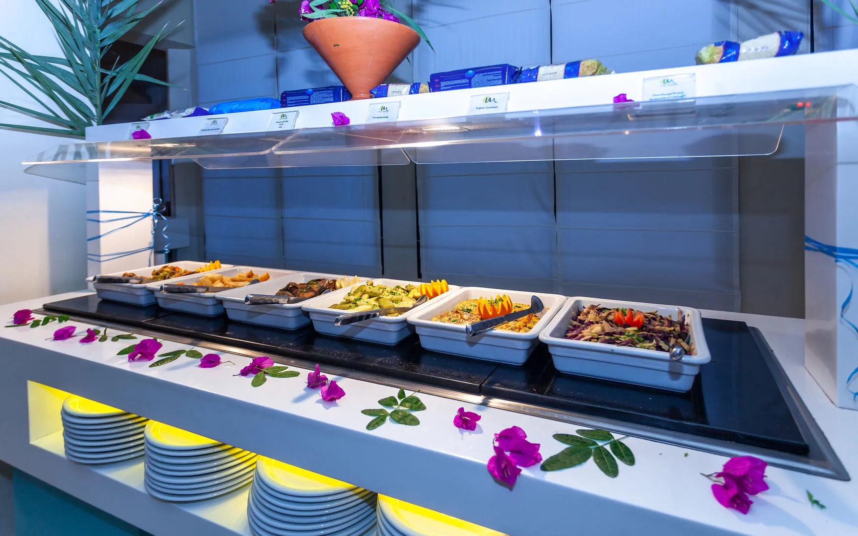 Foto - Cesar Thalasso