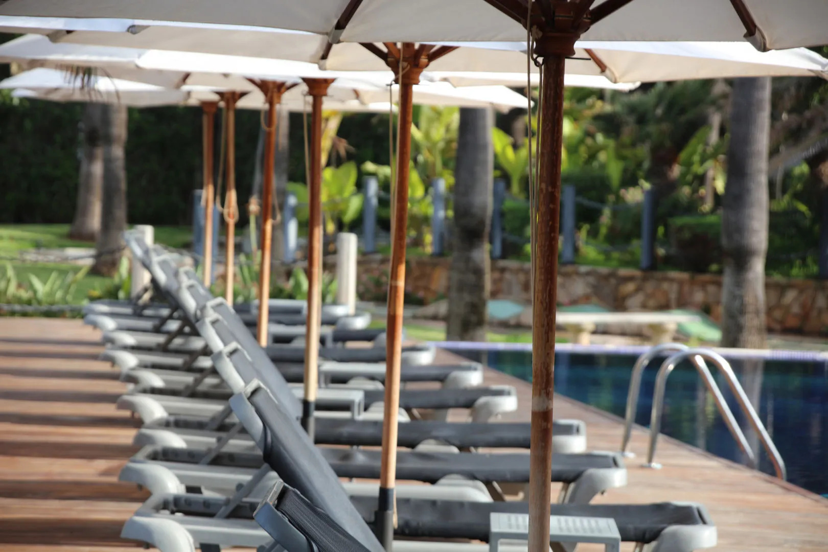 Foto - Hotel Playa Golf - Adults Only