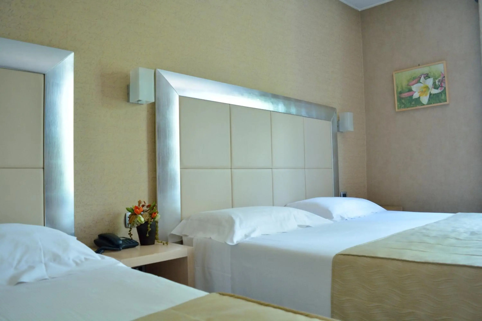 Foto - Hotel Susa