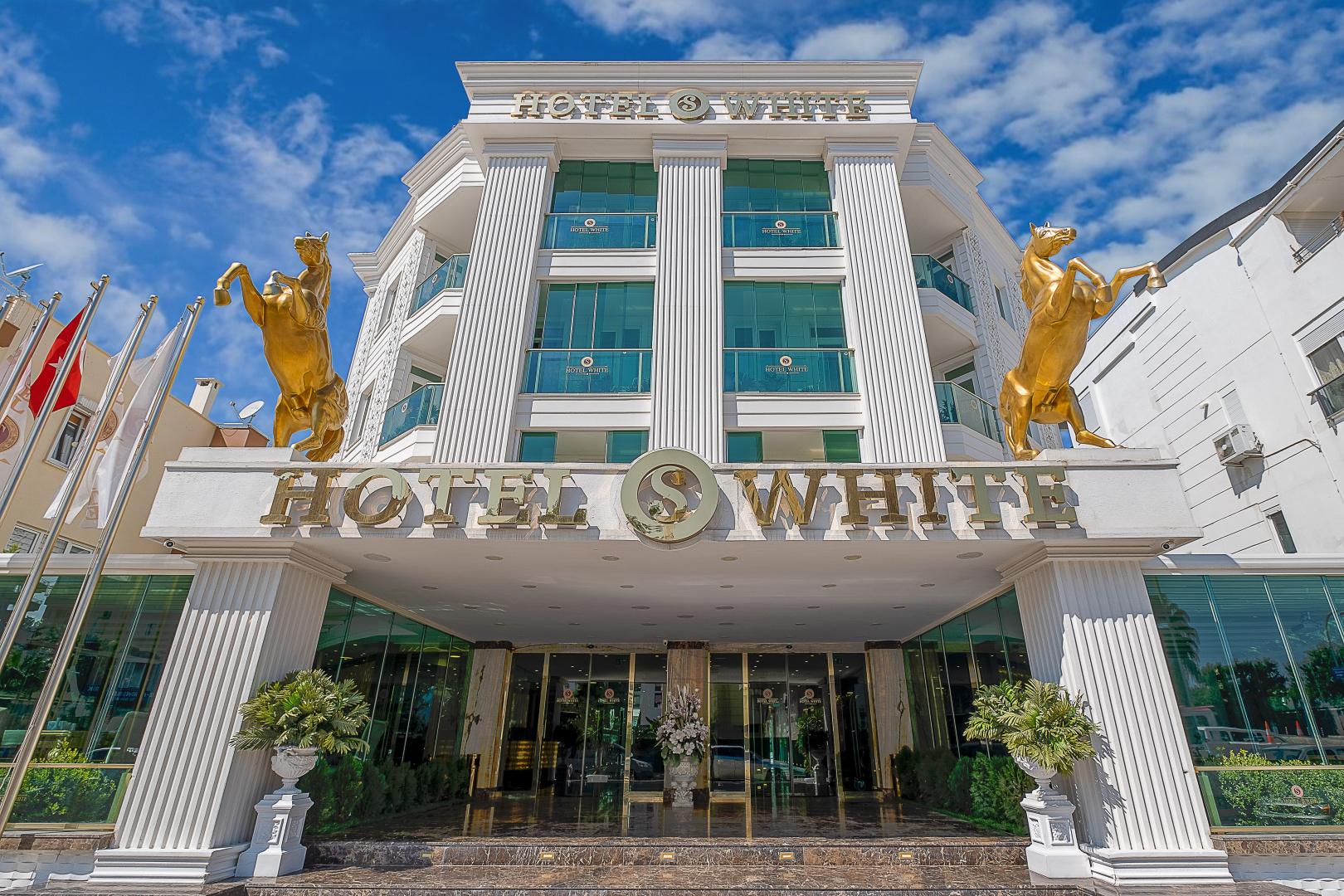 Foto - S White Hotel