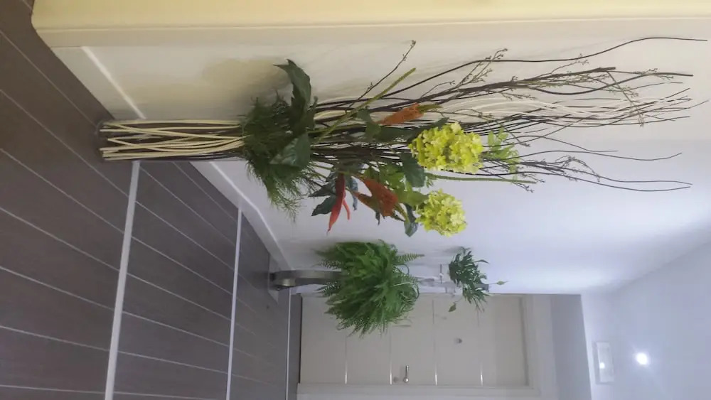 Foto - Gregorio VII Luxury Suites