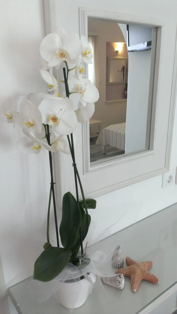 Foto - Hotel Cyclades