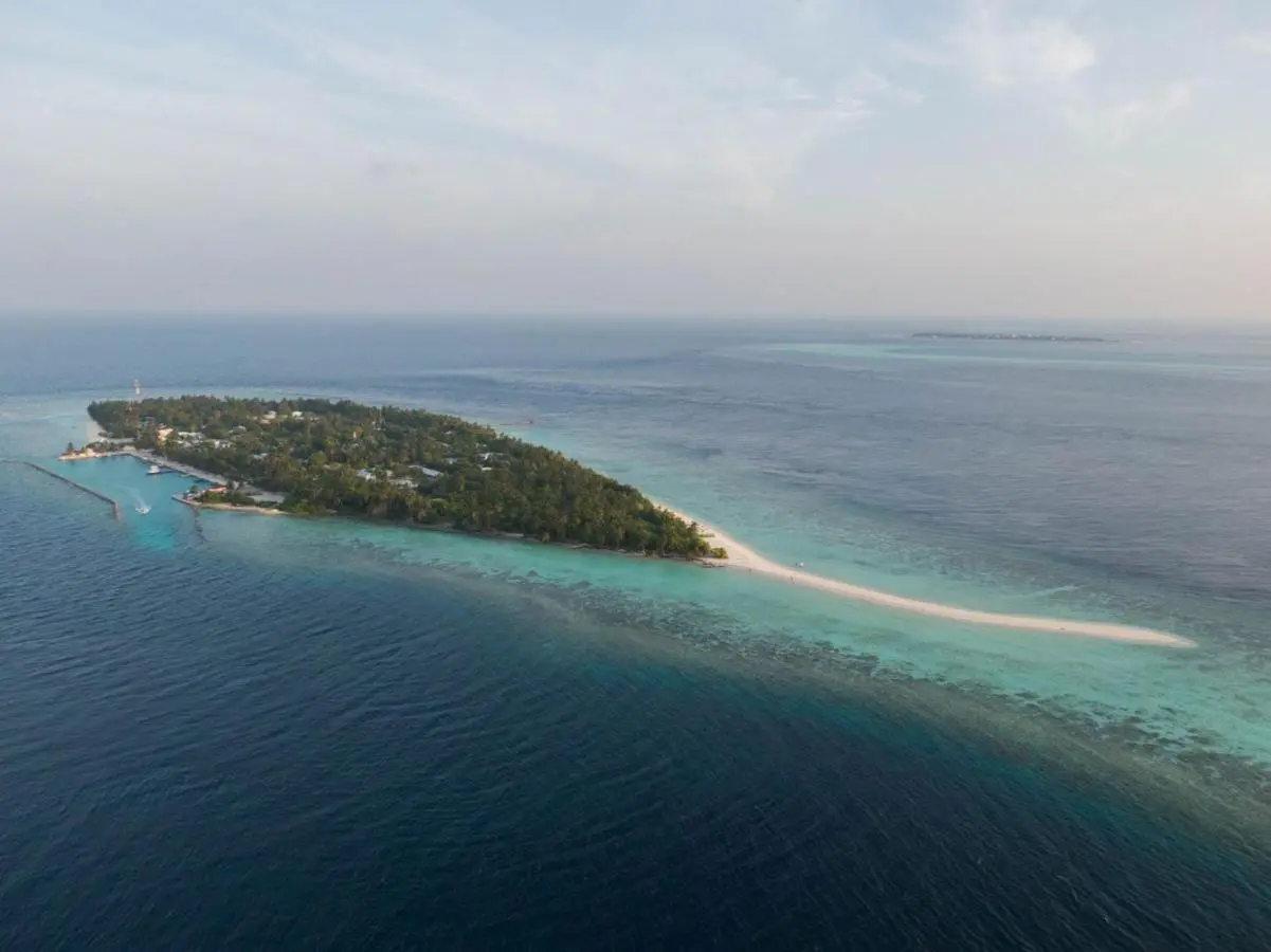 Photo - Turtle Maldives - Your Gateway to the Beach & Marine Adventures Await!