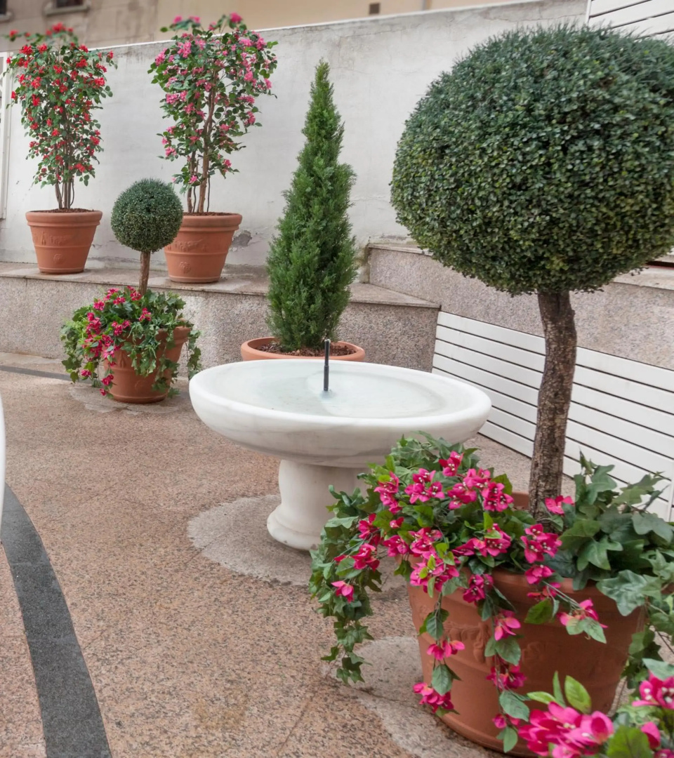 Foto - Aparto-Hotel Rosales