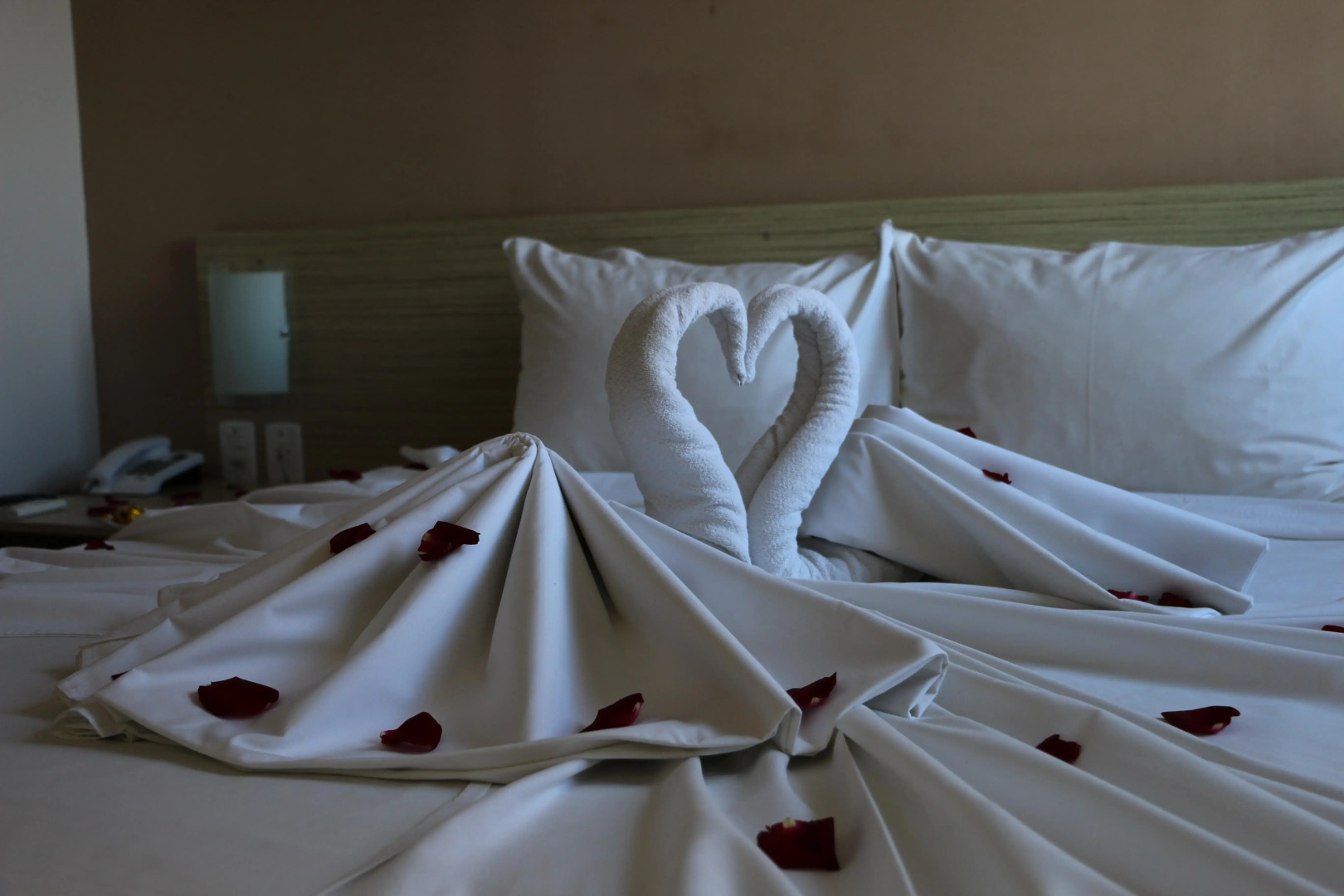 Foto - Rede Andrade Hangar