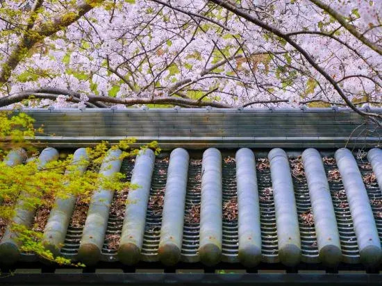 Foto - Oukai Villa Izumi