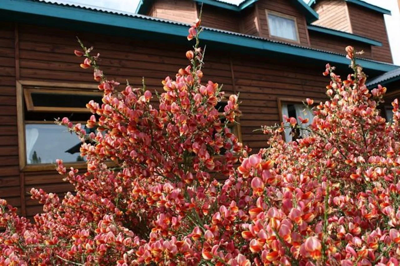 Foto - Hosteria Hainen
