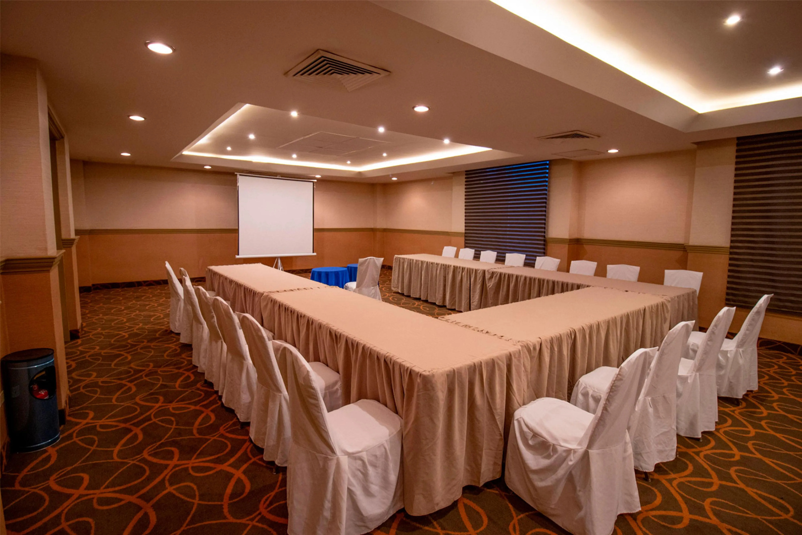 Foto - Araiza Palmira Hotel