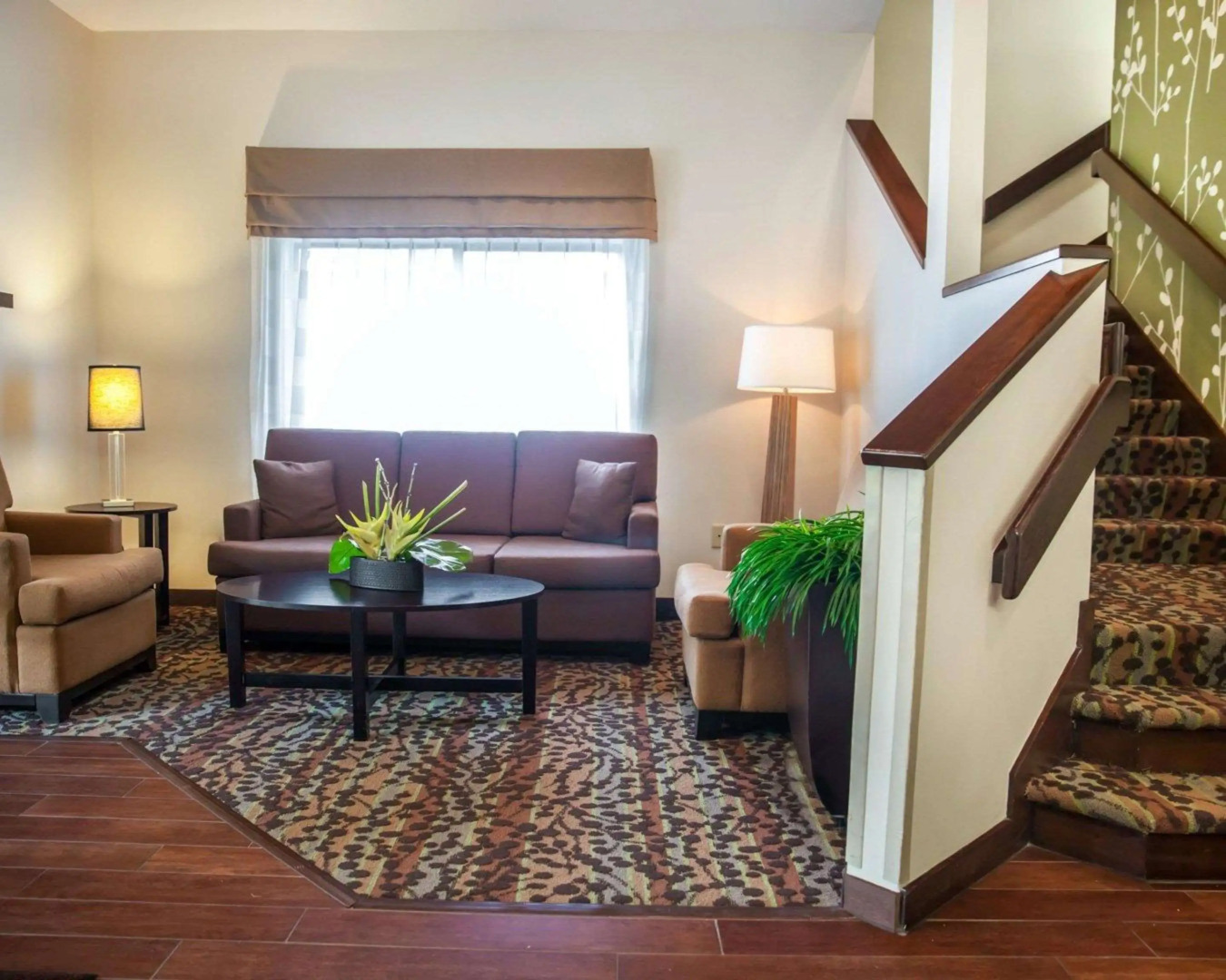 Foto - Sleep Inn Rockville