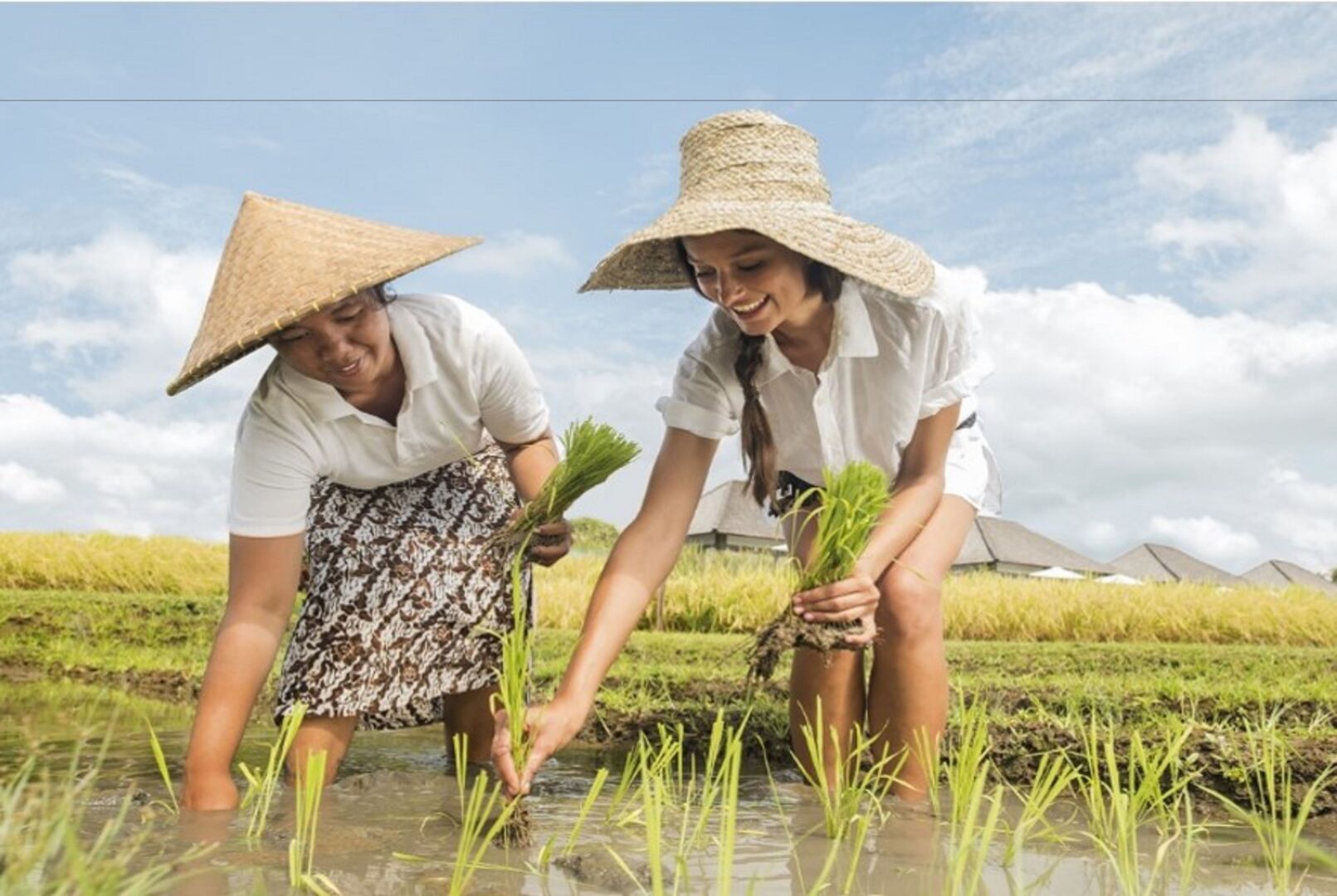 Foto - Visesa Ubud Resort