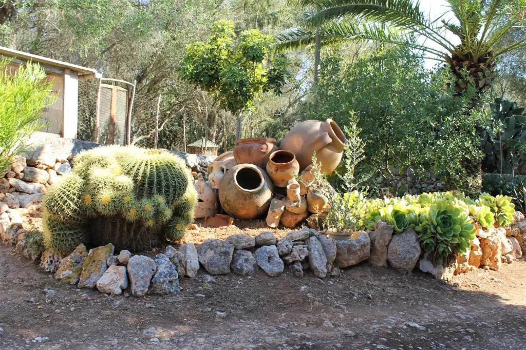 Photo - Agroturismo Finca Son Pieras