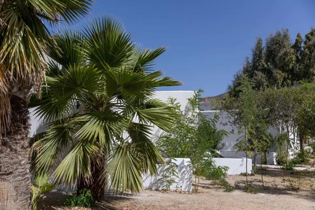 Foto - Naxos Green Village Hotel