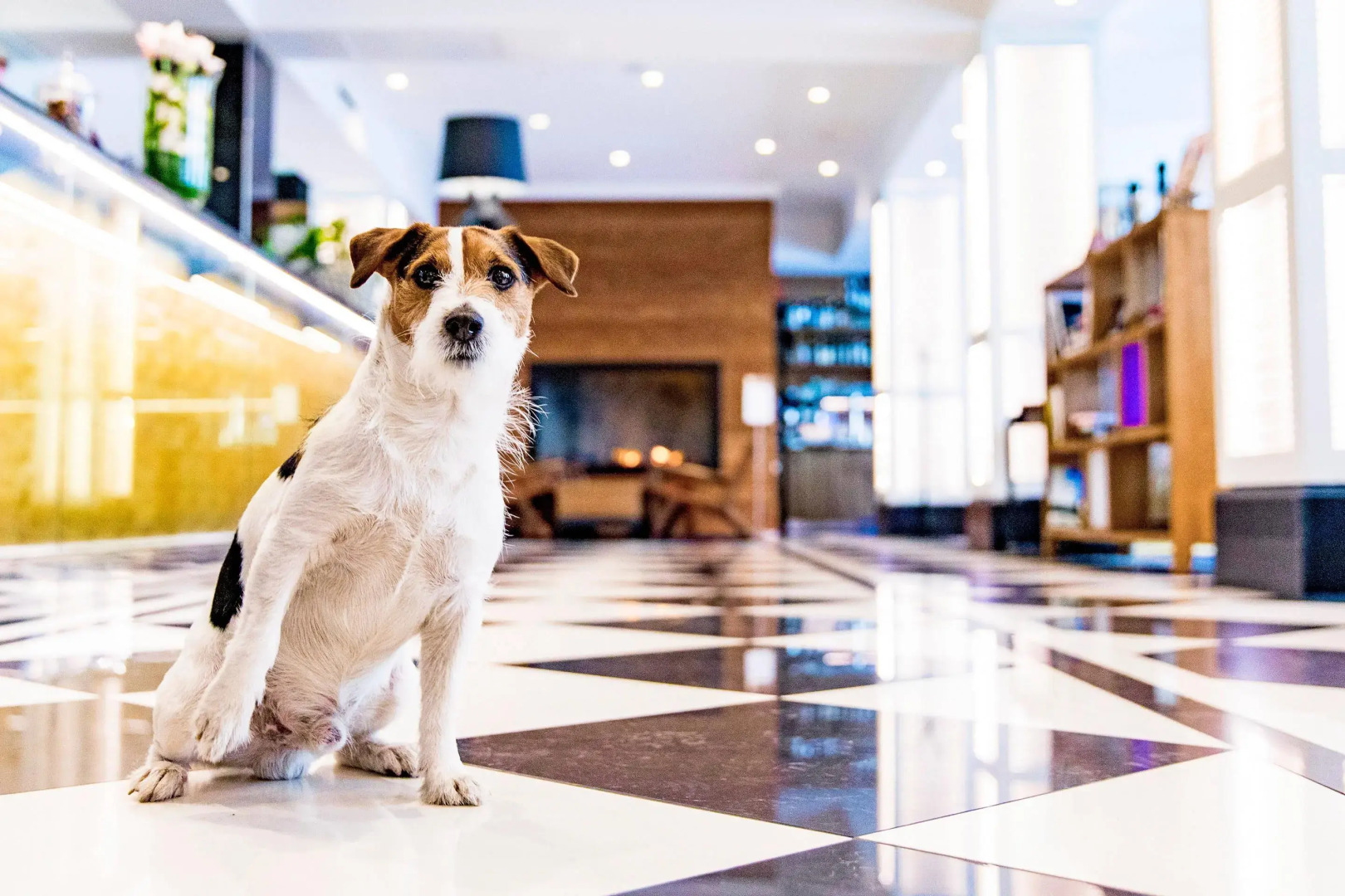 Foto - Hotel Lilla Roberts